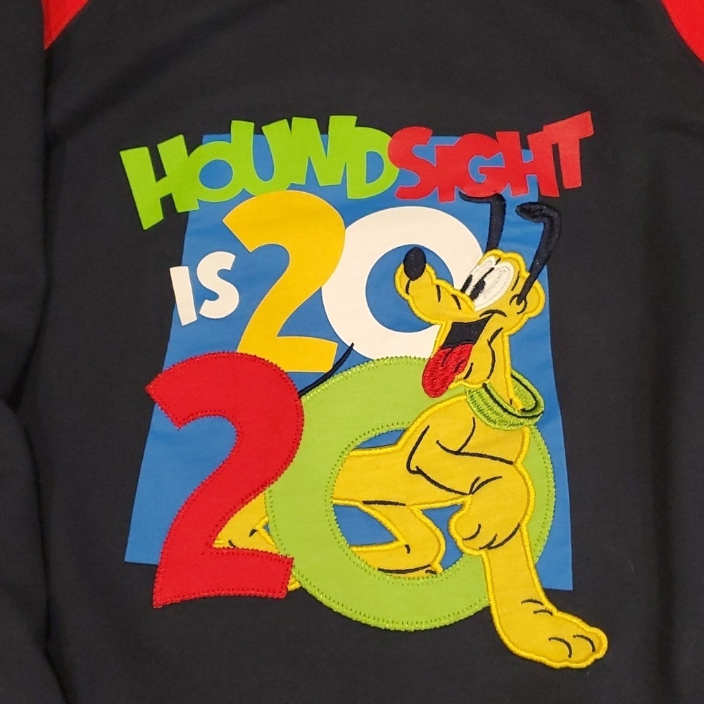Youth Walt Disney World Houndsight is 2020 Pluto Embroidered Hoodie. Size XL - Picture 4 of 9